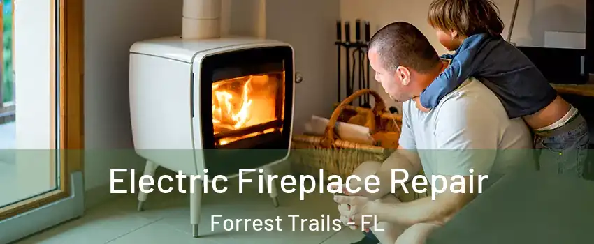 Electric Fireplace Repair Forrest Trails - FL