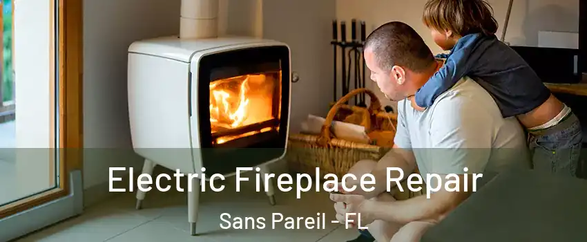 Electric Fireplace Repair Sans Pareil - FL