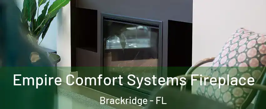 Empire Comfort Systems Fireplace Brackridge - FL
