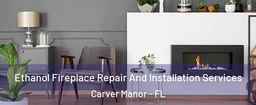 Ethanol Fireplace Repair And Installation Services Carver Manor - FL