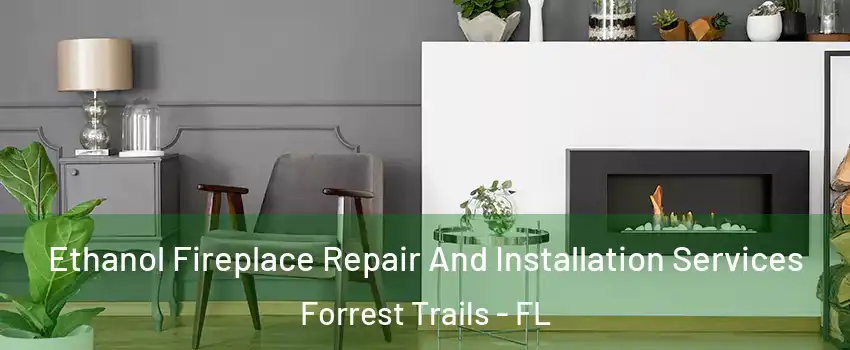 Ethanol Fireplace Repair And Installation Services Forrest Trails - FL