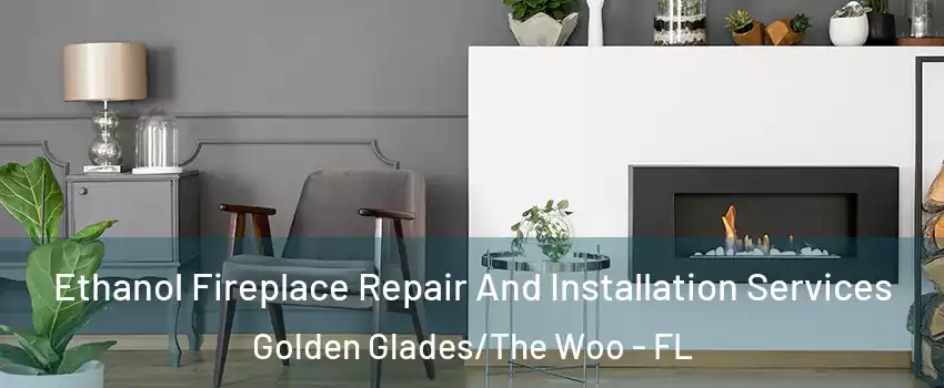 Ethanol Fireplace Repair And Installation Services Golden Glades/The Woo - FL