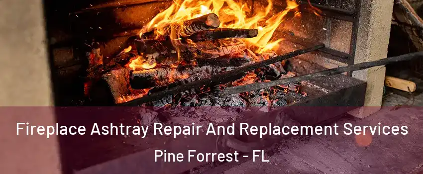 Fireplace Ashtray Repair And Replacement Services Pine Forrest - FL