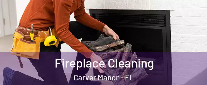 Fireplace Cleaning Carver Manor - FL