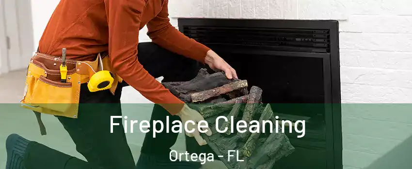 Fireplace Cleaning Ortega - FL