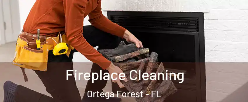 Fireplace Cleaning Ortega Forest - FL