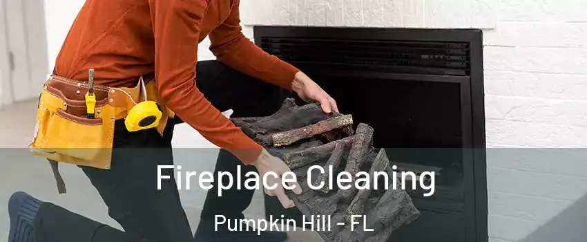 Fireplace Cleaning Pumpkin Hill - FL