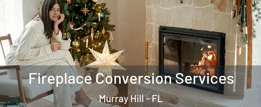 Fireplace Conversion Services Murray Hill - FL