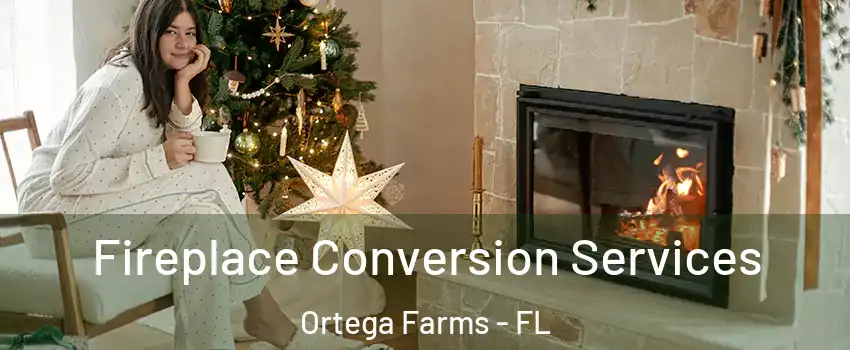 Fireplace Conversion Services Ortega Farms - FL