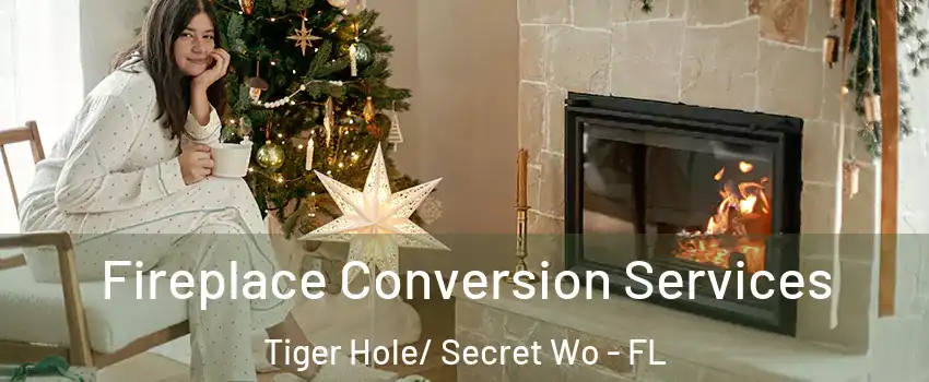 Fireplace Conversion Services Tiger Hole/ Secret Wo - FL