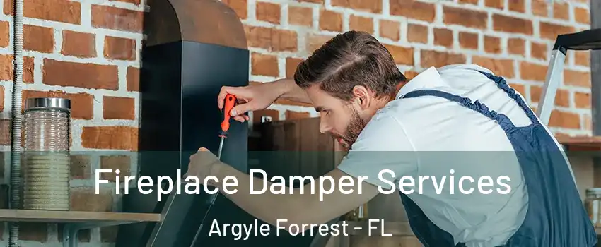 Fireplace Damper Services Argyle Forrest - FL