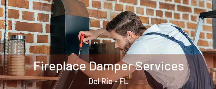 Fireplace Damper Services Del Rio - FL