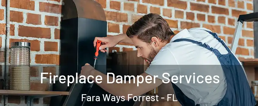 Fireplace Damper Services Fara Ways Forrest - FL