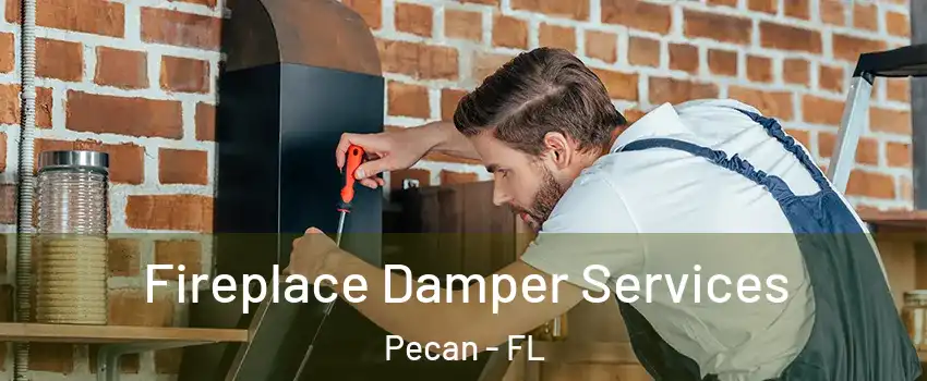 Fireplace Damper Services Pecan - FL