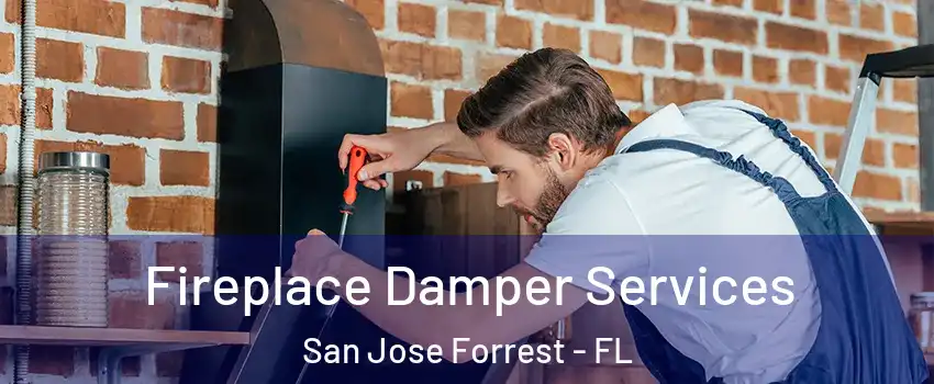 Fireplace Damper Services San Jose Forrest - FL