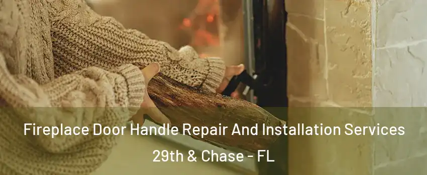 Fireplace Door Handle Repair And Installation Services 29th & Chase - FL