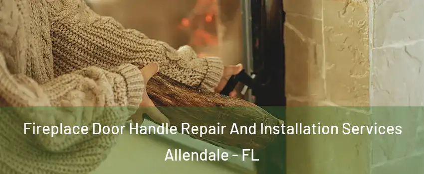 Fireplace Door Handle Repair And Installation Services Allendale - FL