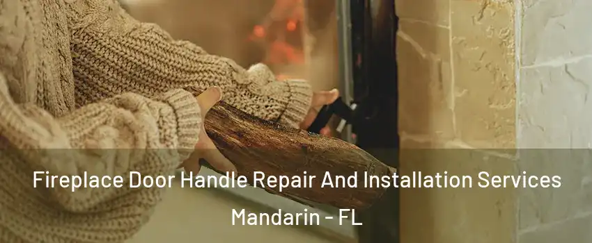 Fireplace Door Handle Repair And Installation Services Mandarin - FL