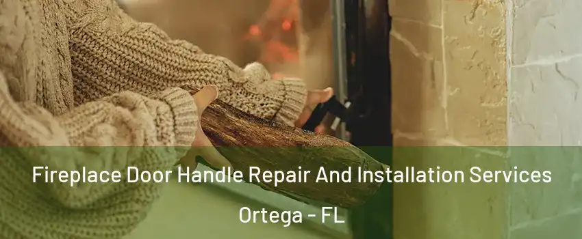 Fireplace Door Handle Repair And Installation Services Ortega - FL