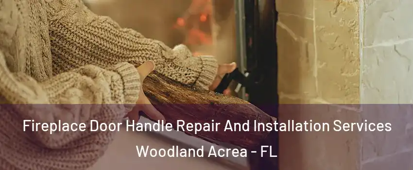 Fireplace Door Handle Repair And Installation Services Woodland Acrea - FL