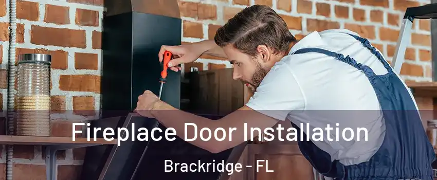 Fireplace Door Installation Brackridge - FL