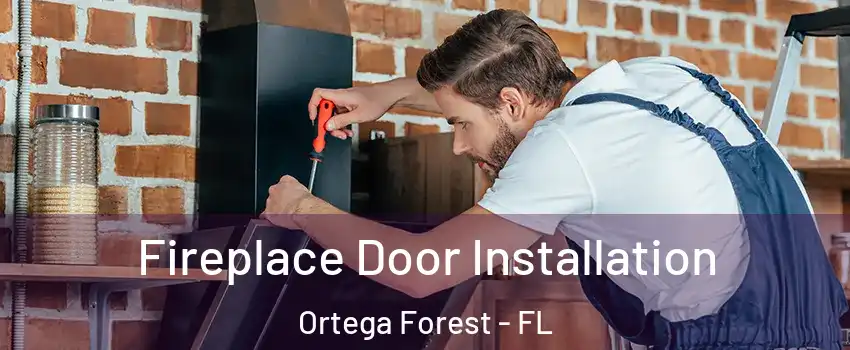 Fireplace Door Installation Ortega Forest - FL