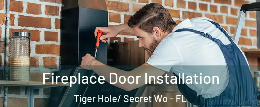 Fireplace Door Installation Tiger Hole/ Secret Wo - FL