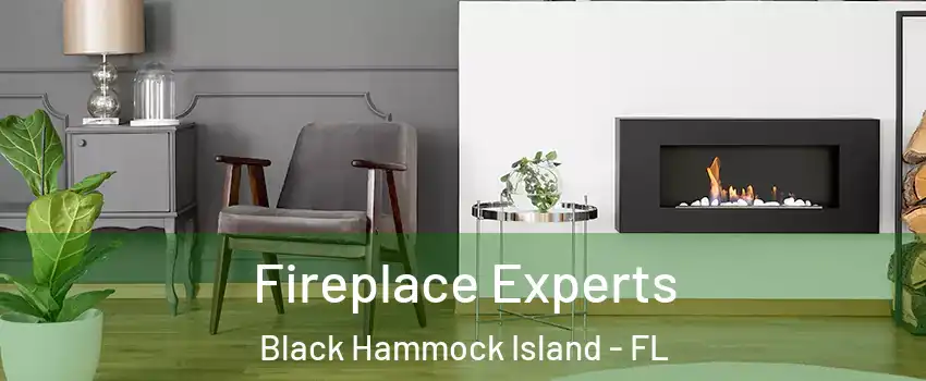 Fireplace Experts Black Hammock Island - FL