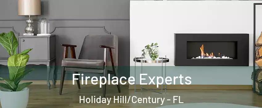 Fireplace Experts Holiday Hill/Century - FL