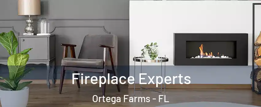 Fireplace Experts Ortega Farms - FL