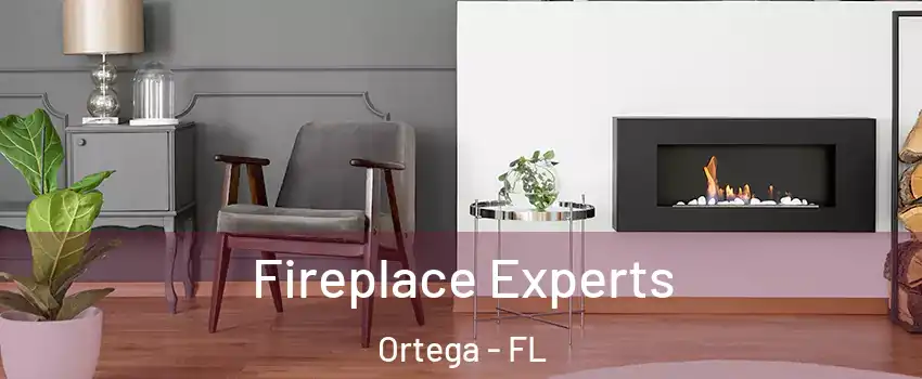 Fireplace Experts Ortega - FL