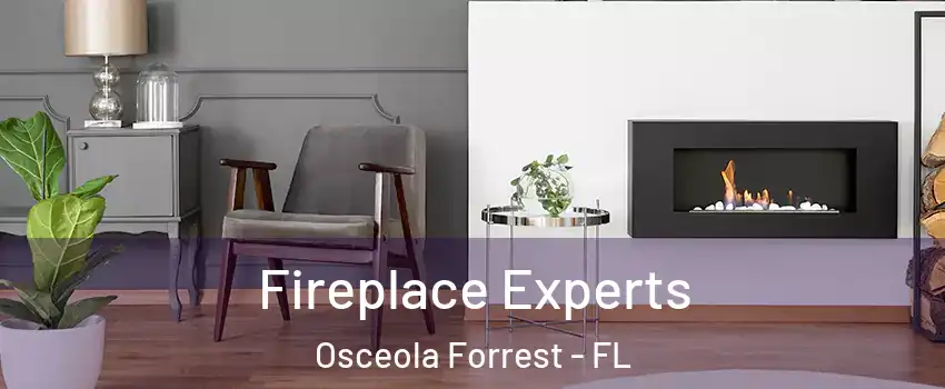 Fireplace Experts Osceola Forrest - FL