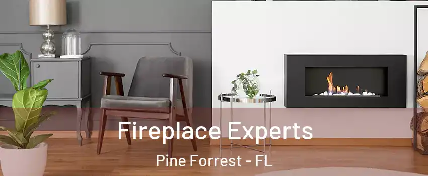 Fireplace Experts Pine Forrest - FL