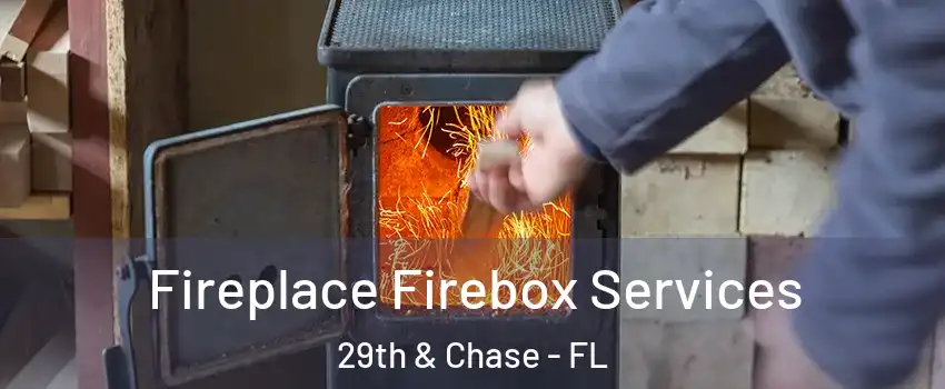 Fireplace Firebox Services 29th & Chase - FL