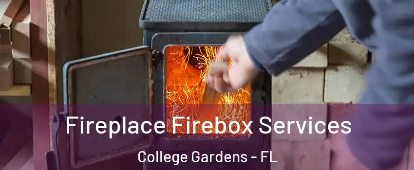 Fireplace Firebox Services College Gardens - FL