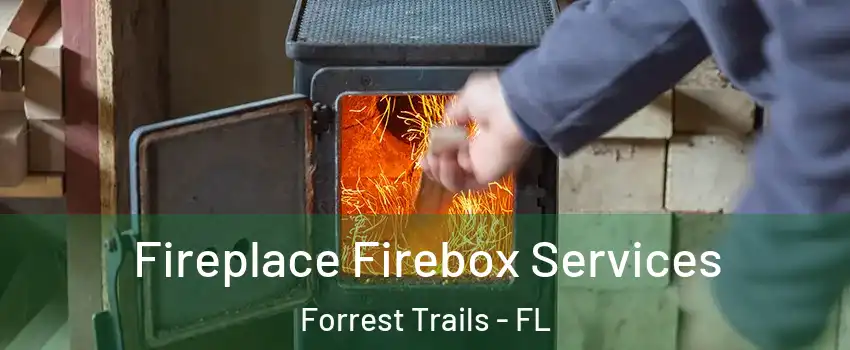 Fireplace Firebox Services Forrest Trails - FL