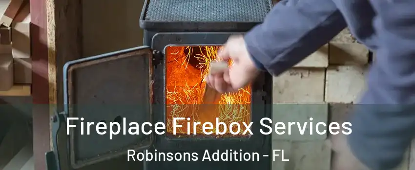 Fireplace Firebox Services Robinsons Addition - FL