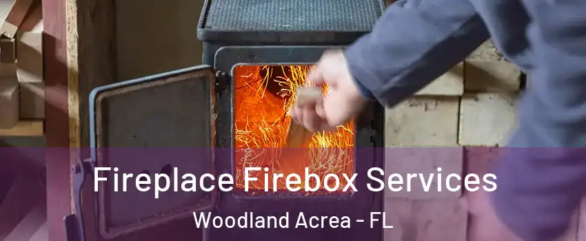 Fireplace Firebox Services Woodland Acrea - FL