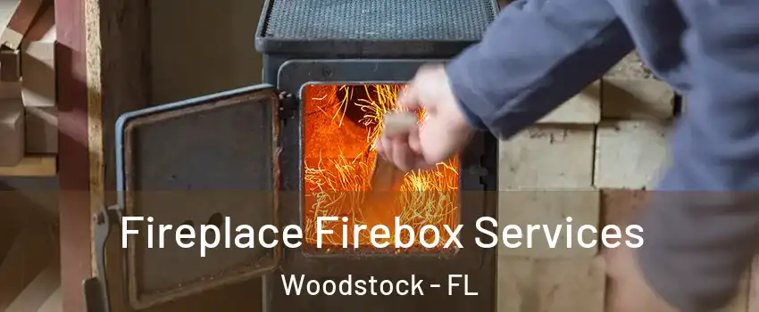 Fireplace Firebox Services Woodstock - FL