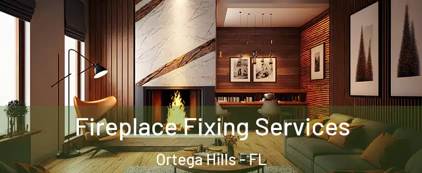 Fireplace Fixing Services Ortega Hills - FL