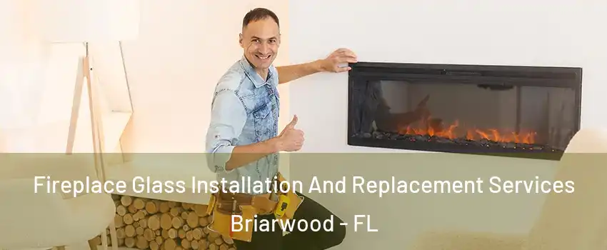 Fireplace Glass Installation And Replacement Services Briarwood - FL