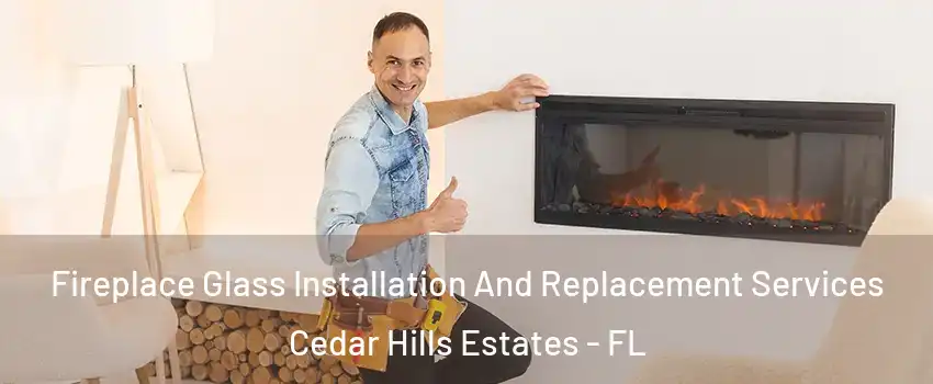 Fireplace Glass Installation And Replacement Services Cedar Hills Estates - FL