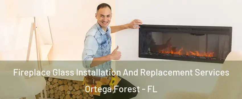 Fireplace Glass Installation And Replacement Services Ortega Forest - FL