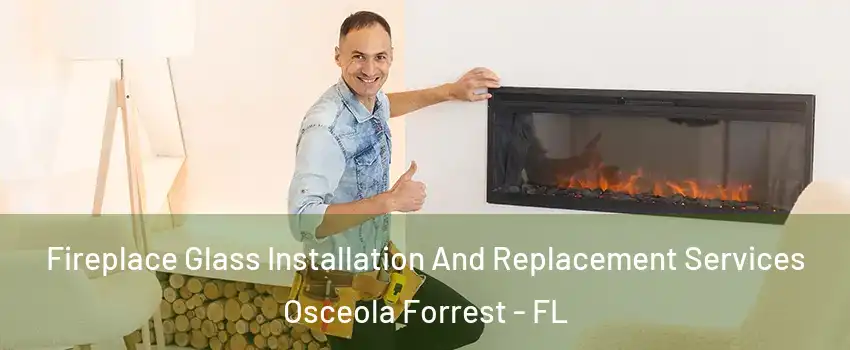 Fireplace Glass Installation And Replacement Services Osceola Forrest - FL