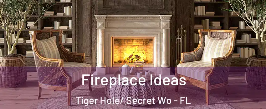 Fireplace Ideas Tiger Hole/ Secret Wo - FL