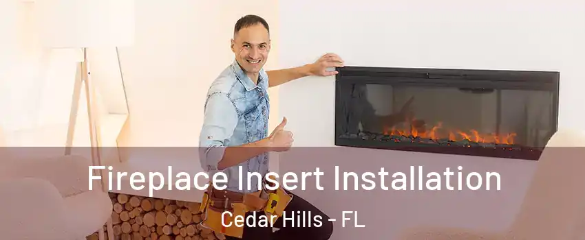 Fireplace Insert Installation Cedar Hills - FL