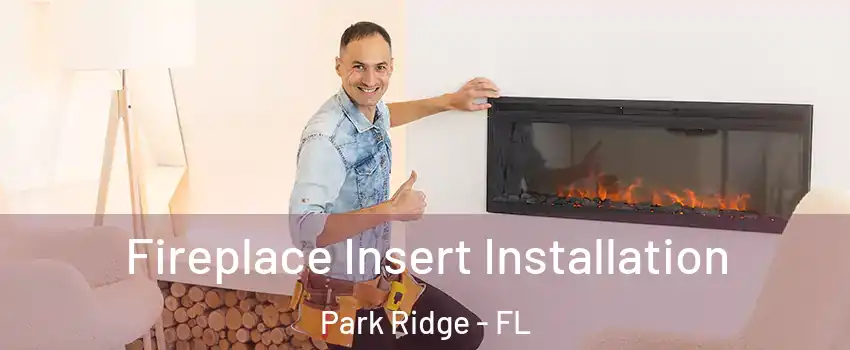 Fireplace Insert Installation Park Ridge - FL