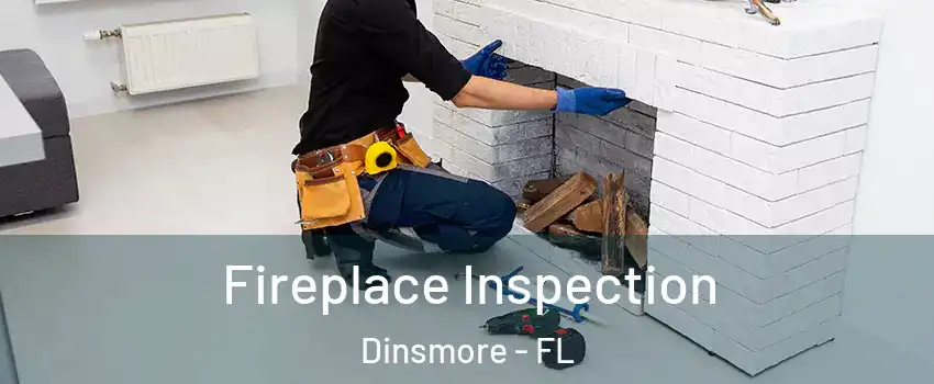 Fireplace Inspection Dinsmore - FL