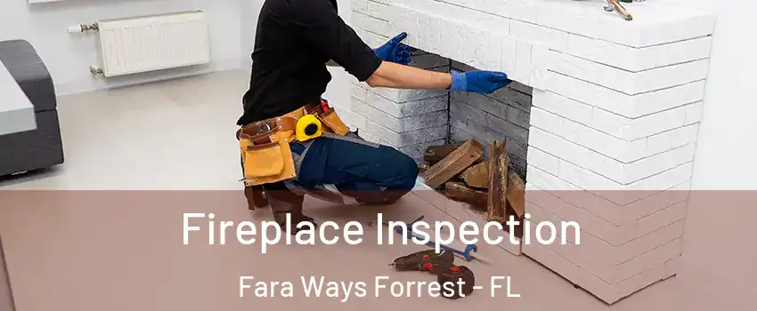 Fireplace Inspection Fara Ways Forrest - FL