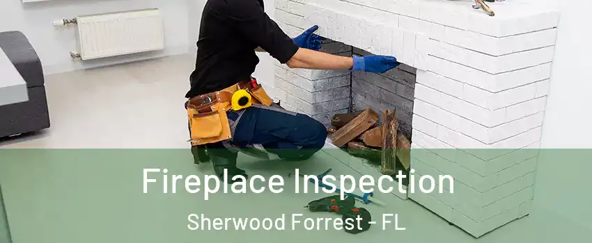 Fireplace Inspection Sherwood Forrest - FL